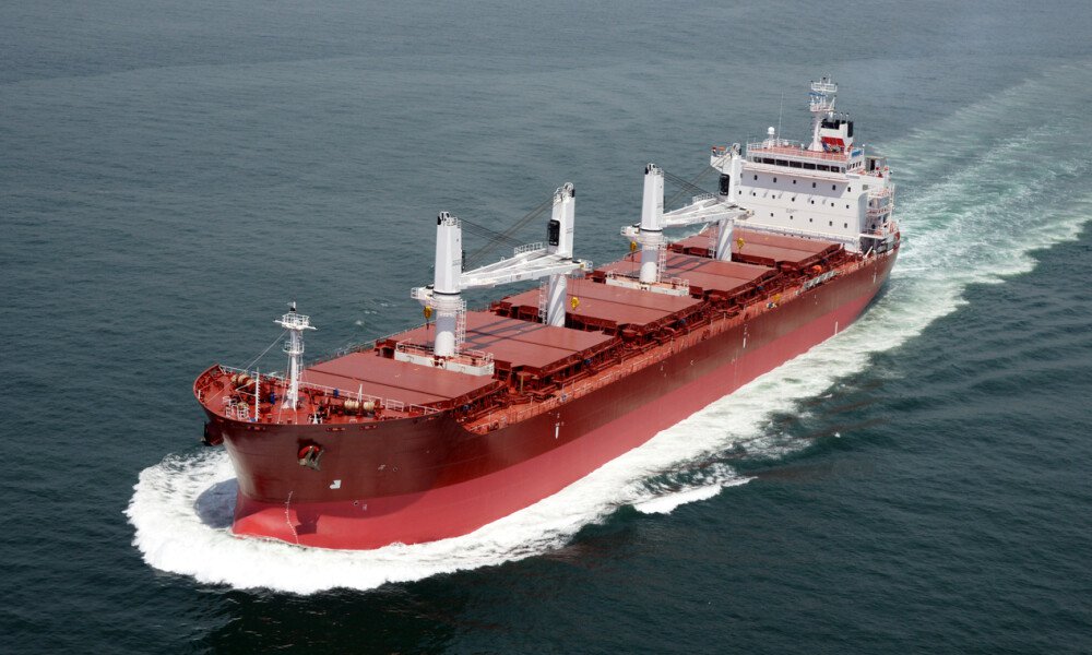 CAPE FALCON